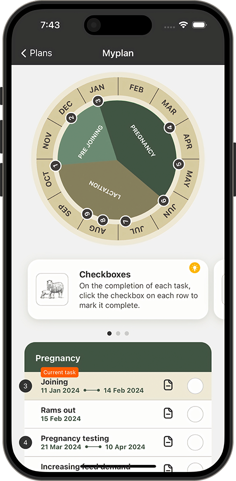 lambing planner plan