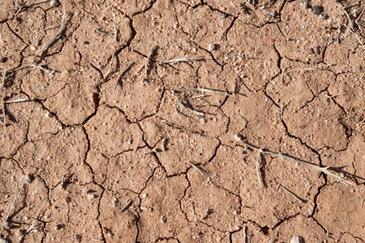 Dry cracked soil with small rocks and sticks