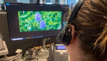 Pest and Disease Information Service (PaDIS) on a call service