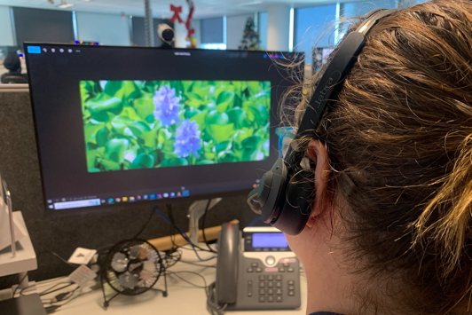 Pest and Disease Information Service (PaDIS) on a call service