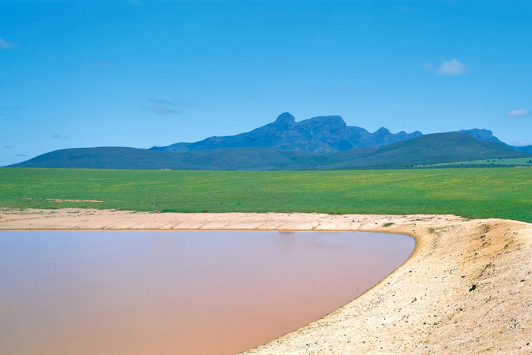 Farm dam in the south-west of WA with green fields and Stirling Ranges in the background