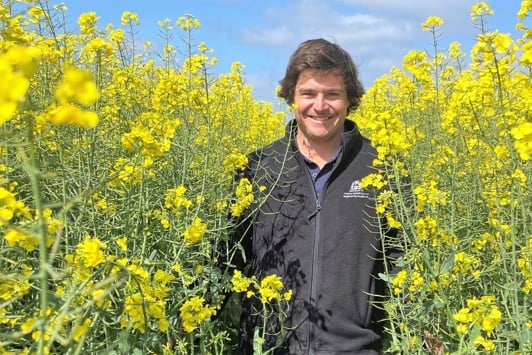 Scientist standing in a field of yellow flowers