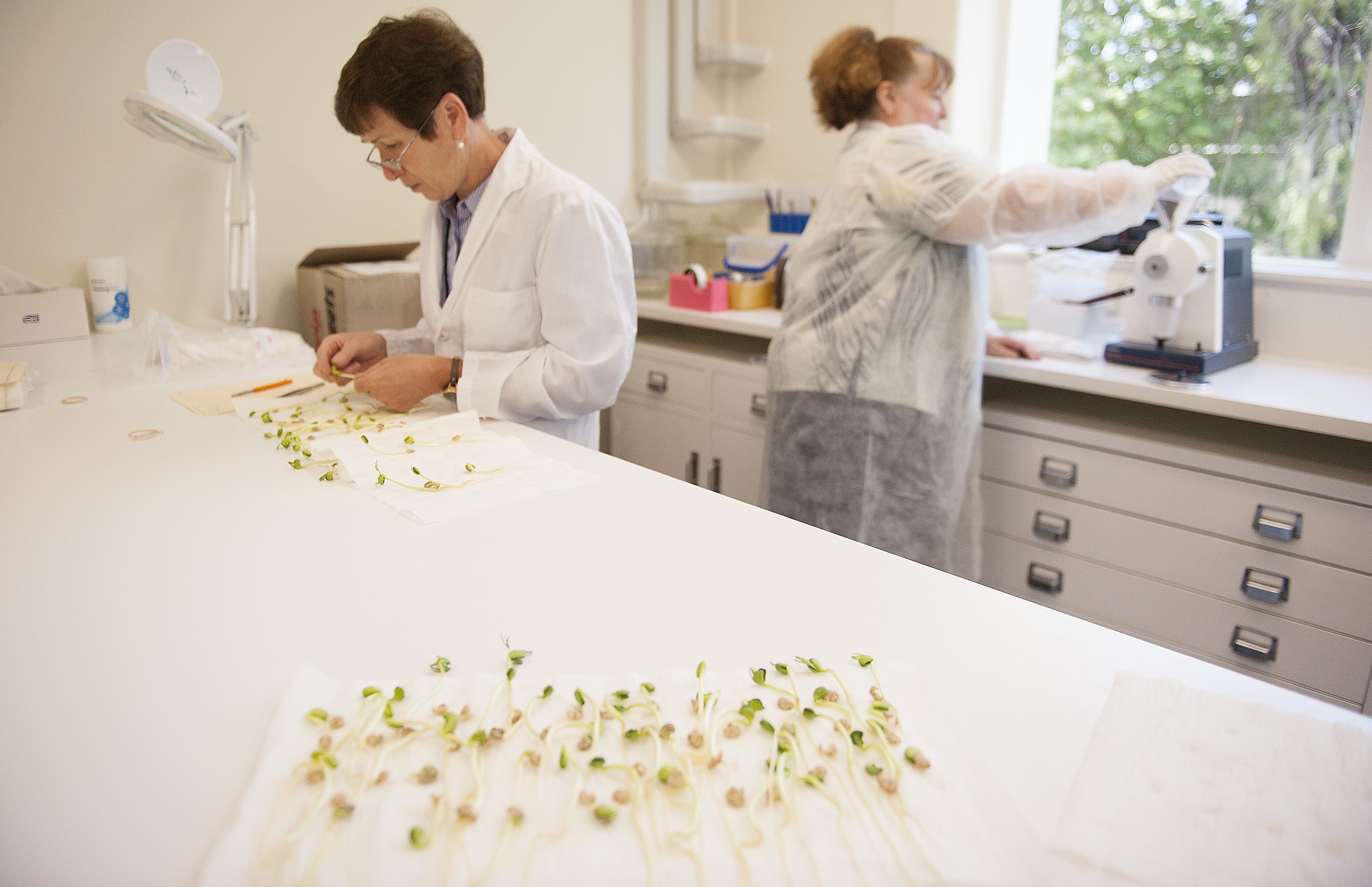 Two scientist working in a laboratory