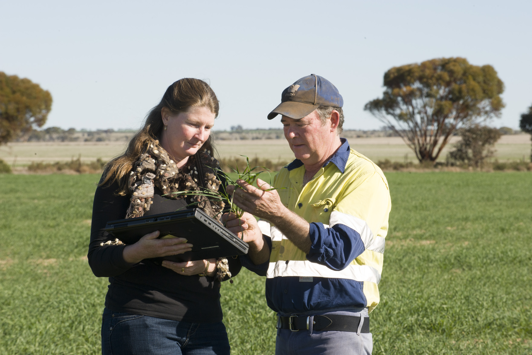 Two people in field with laptop