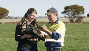 Two people in field with laptop