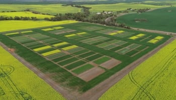 Aerial of grain field trials