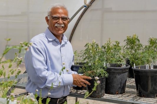 Scientist in a grow room