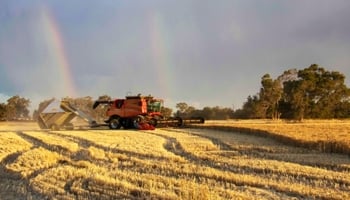 Machinery harvesting wheat