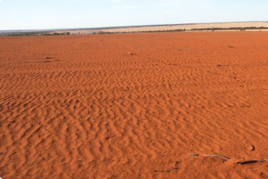 Red soil erosion