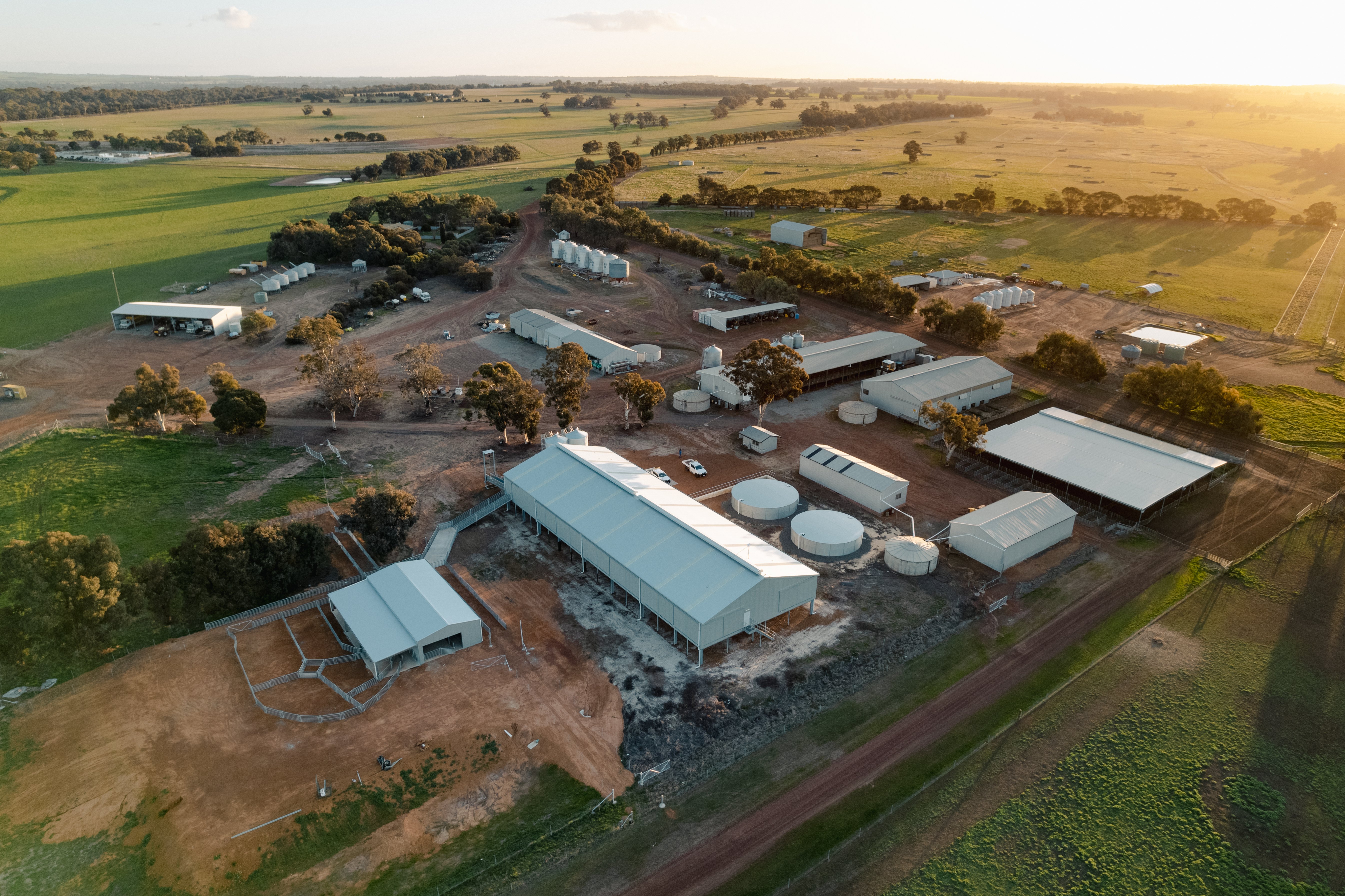 Aerial view of paddocks with sheds and buildings