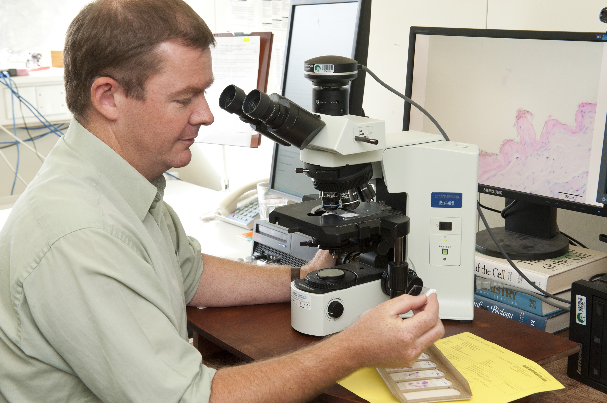Scientist preparing to examine specimen slide by microscope