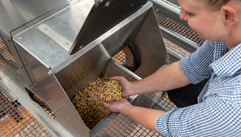 Person holding sheep feed in hands