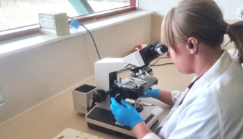 Lab technician looking through microscope