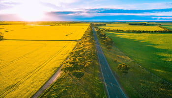 Aerial image of road between yellow and green fields with sun setting in background