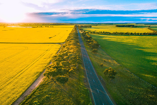 Aerial image of road between yellow and green fields with sun setting in background