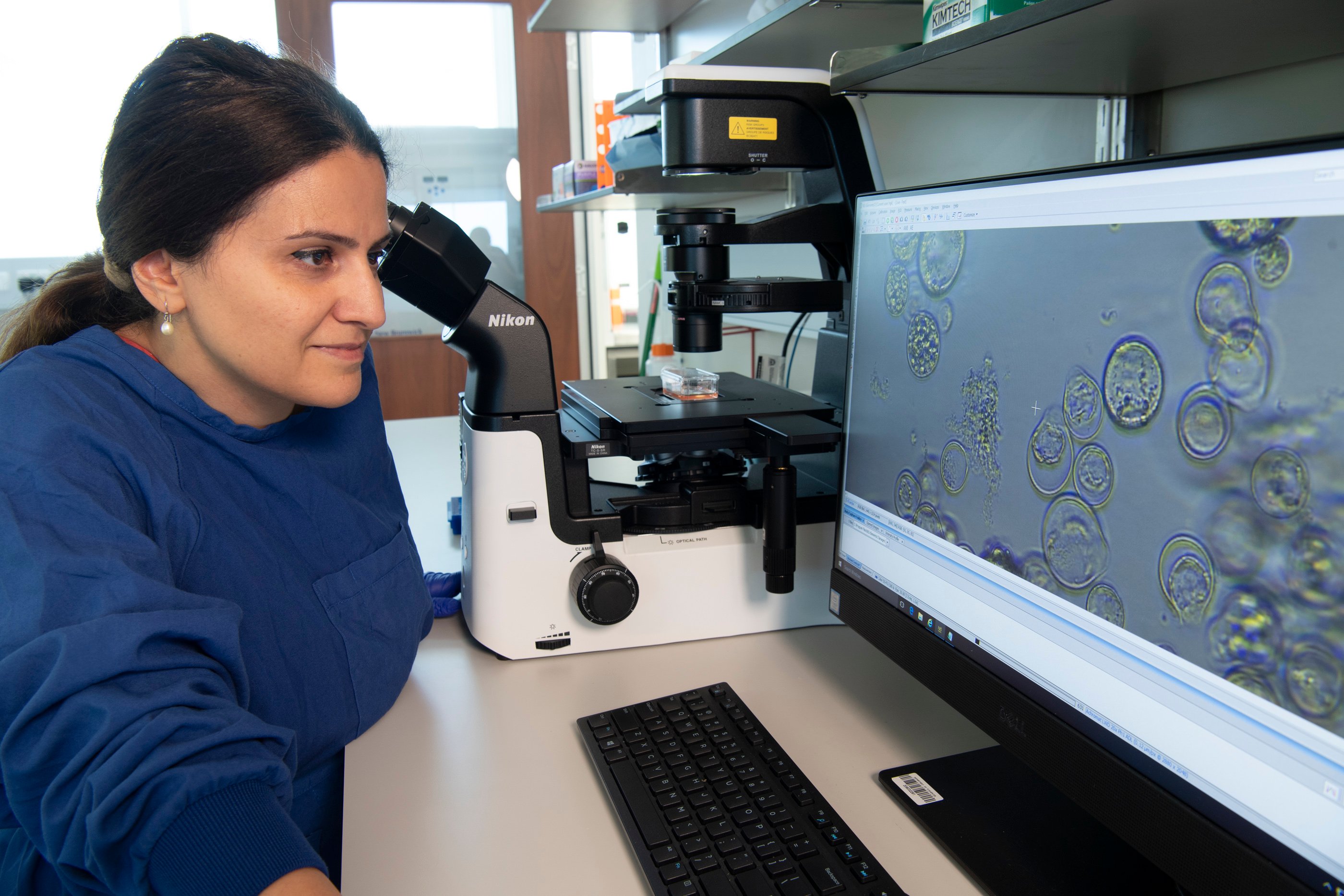Research scientist reviewing results onscreen in the laboratory