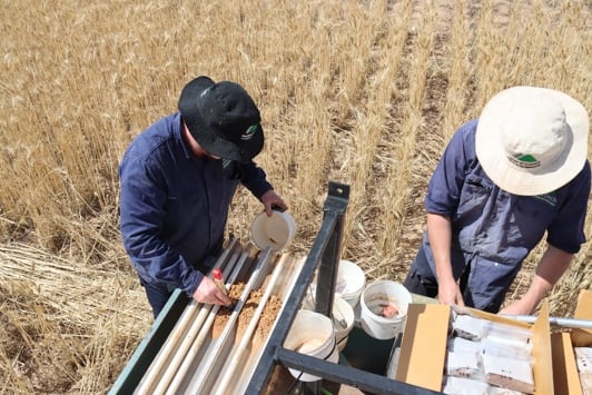 Two scientists building on a truck bed in a paddock
