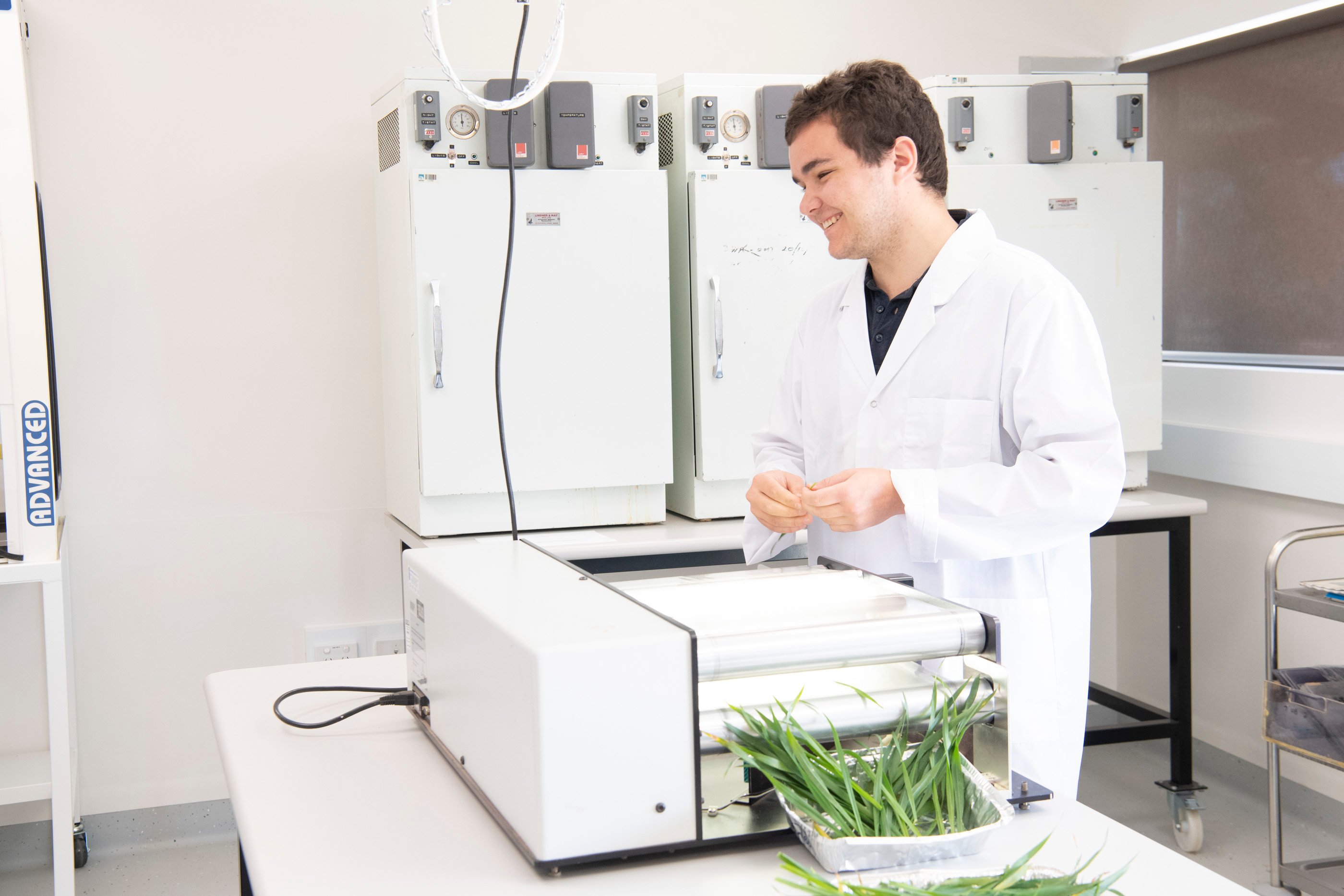 Scientist research grains plants in the laboratory