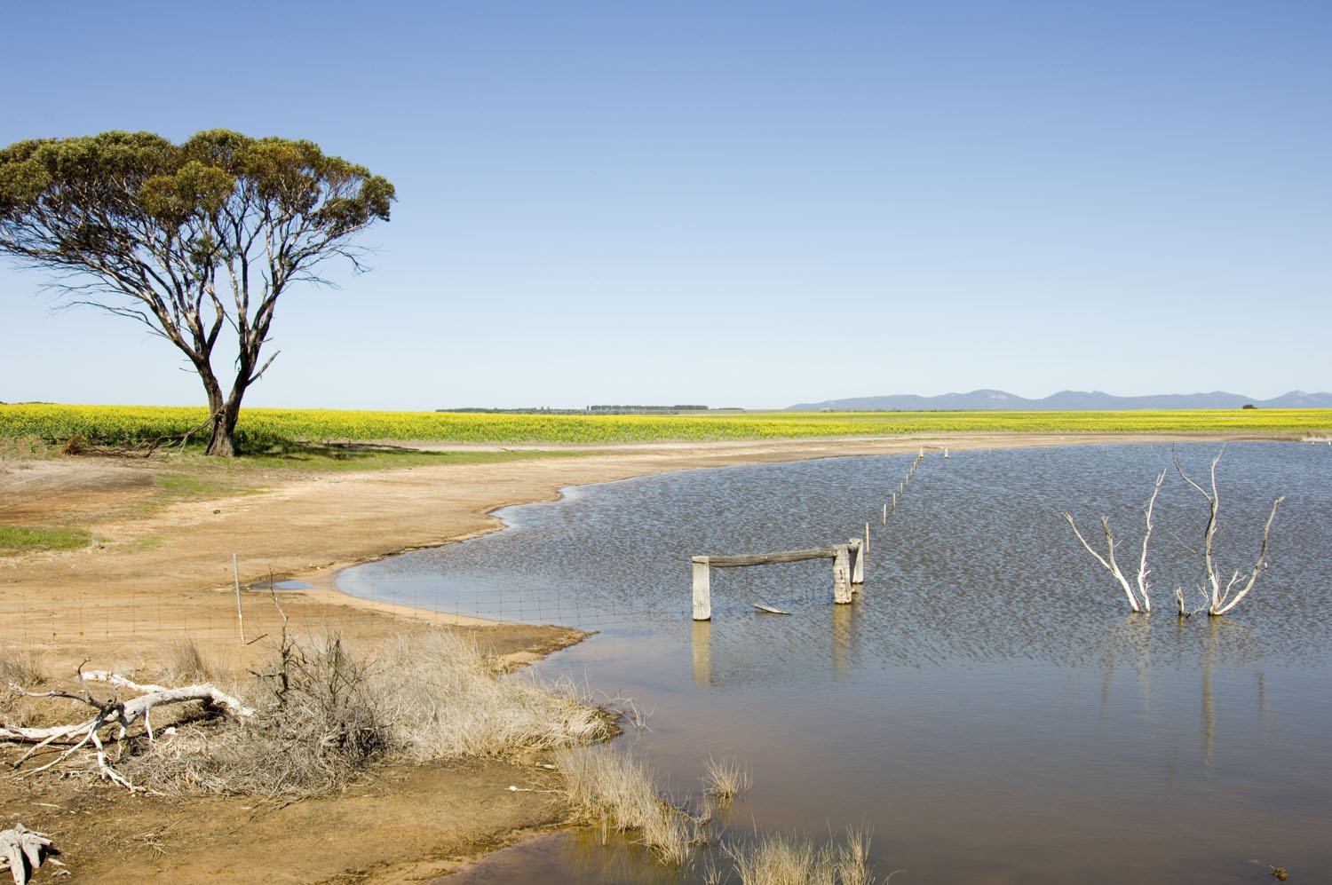 Saltland with mountains in the background