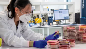 Scientist inspecting specimen slides in the laboratory