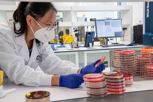 Scientist inspecting specimen slides in the laboratory