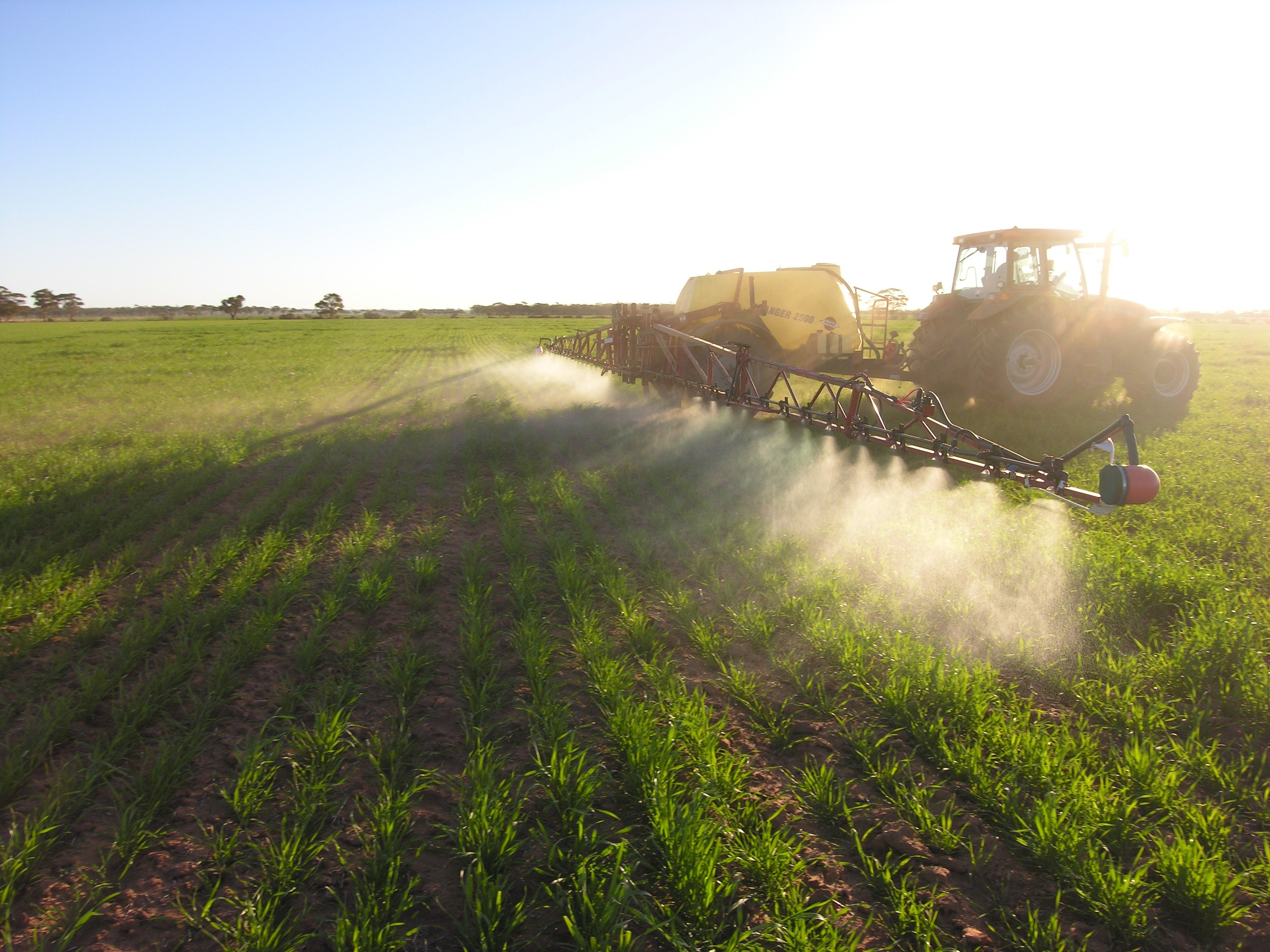 Farm machinery spraying crop