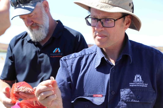 Person inspecting shellfish