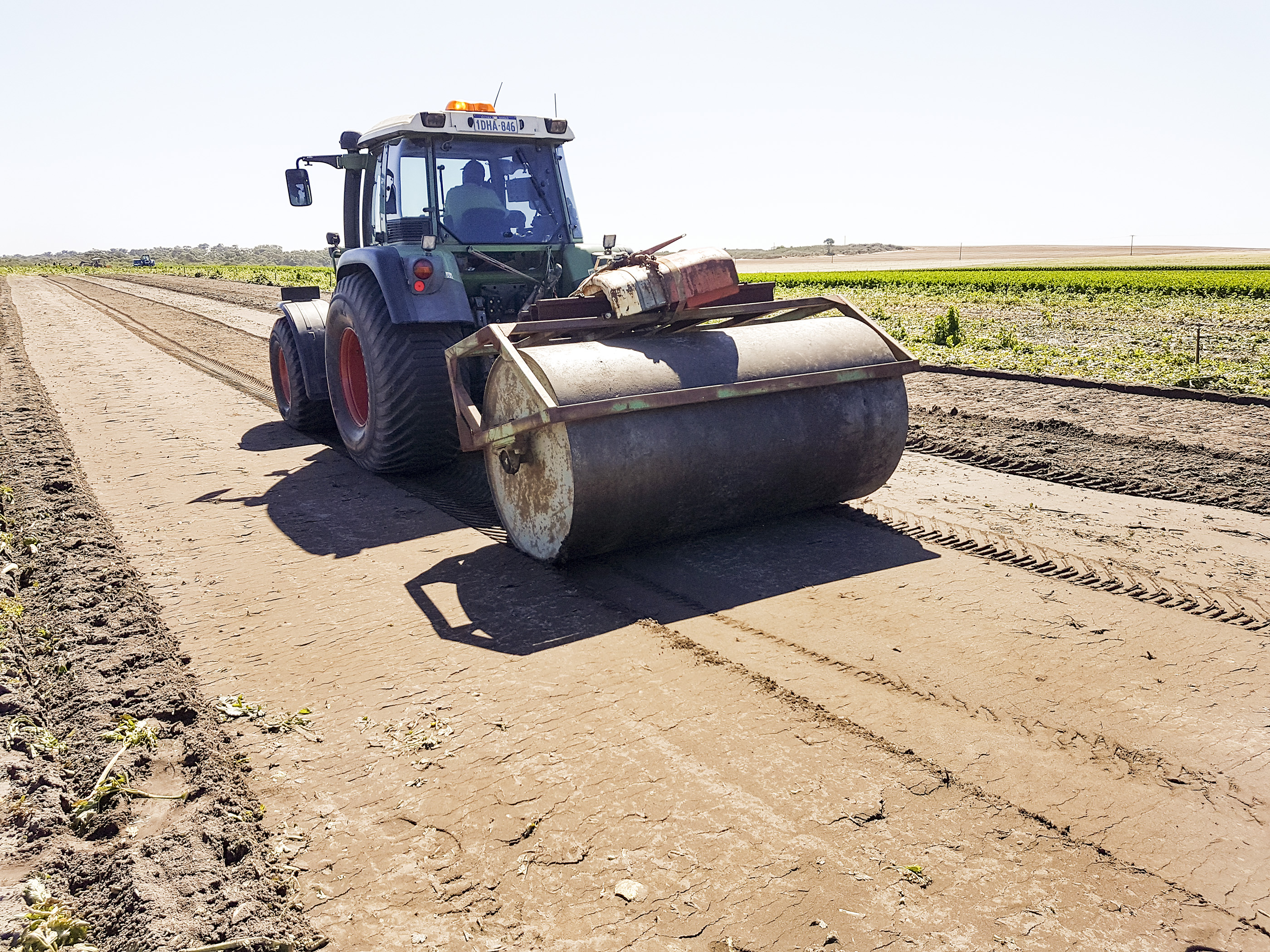 Roller compacting soil on farm