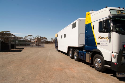 Horse transport truck in quarantine stockyard