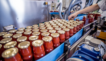 The working process of production of tomatoes in a factory