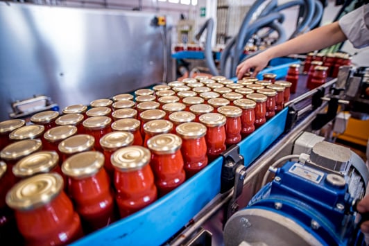 The working process of production of tomatoes in a factory