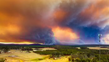 Bushfire
