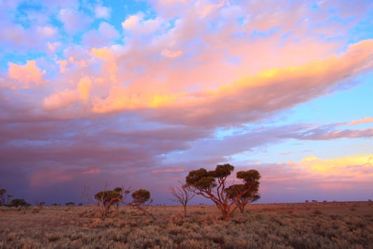 Blue sky with dark stormy clouds moving in over bushland