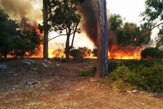 Bush fire