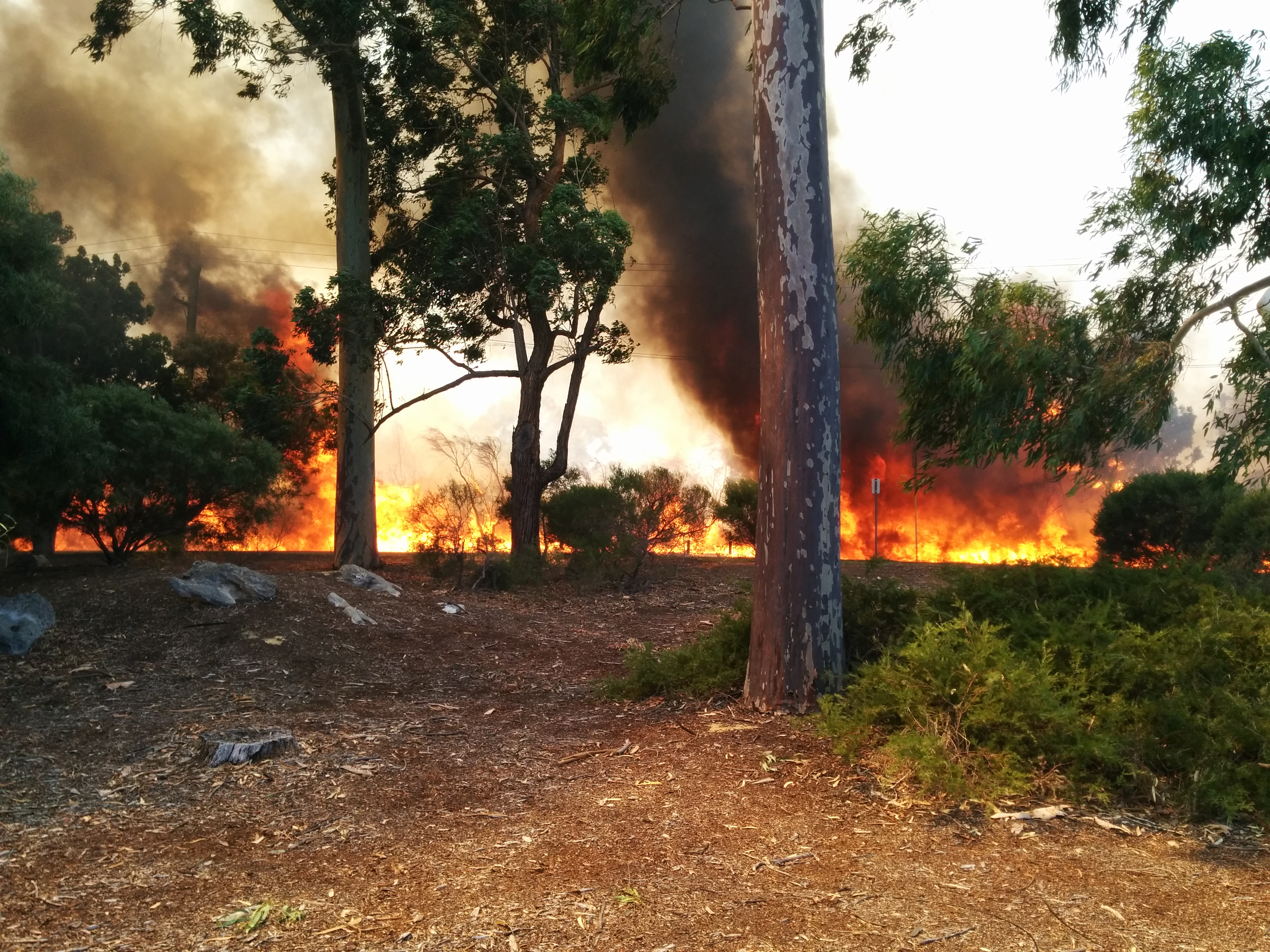 Bush fire