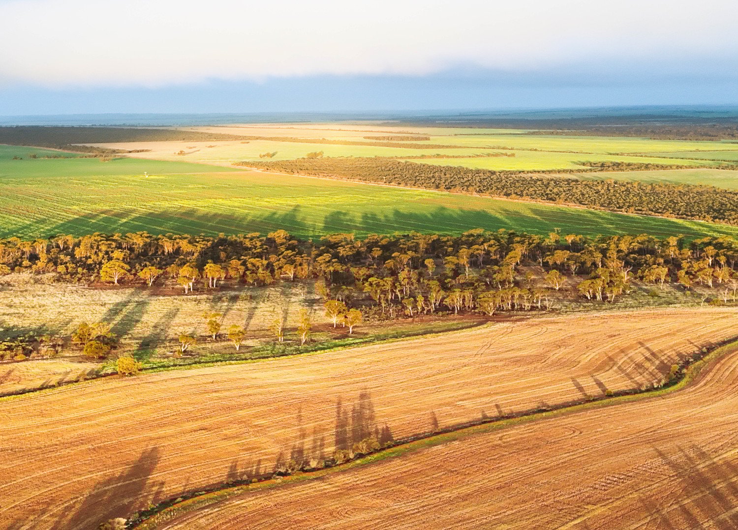 A carbon farming project