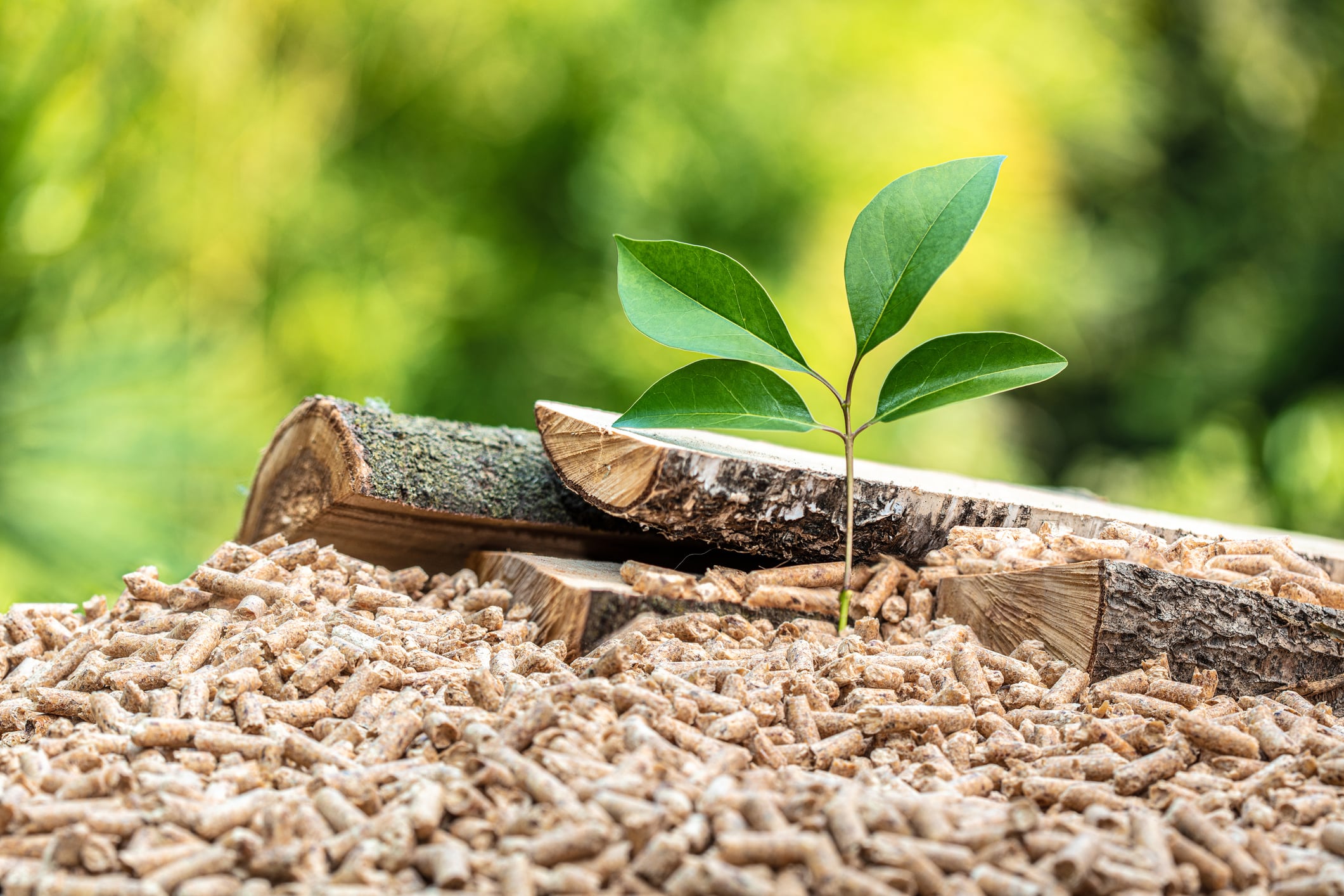 wood pellets with leaf and tree trunks.