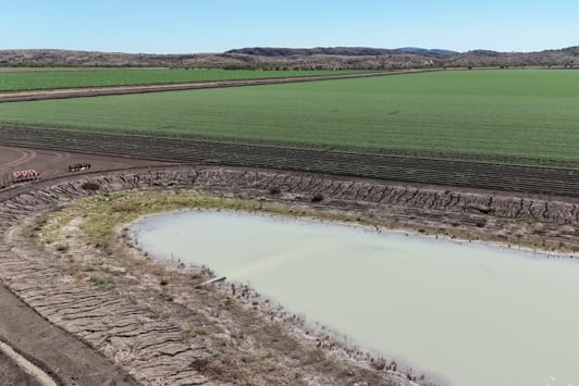 On farm pond with green crops in background