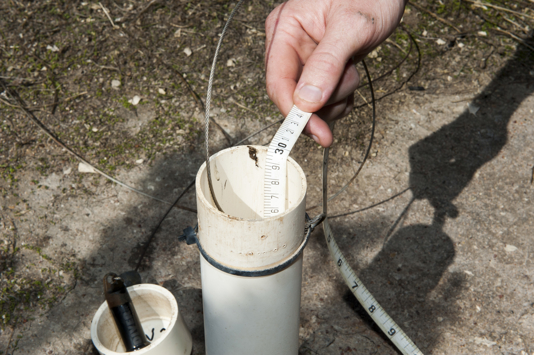 Monitoring water Levels in bore in saline land planted with saltbush