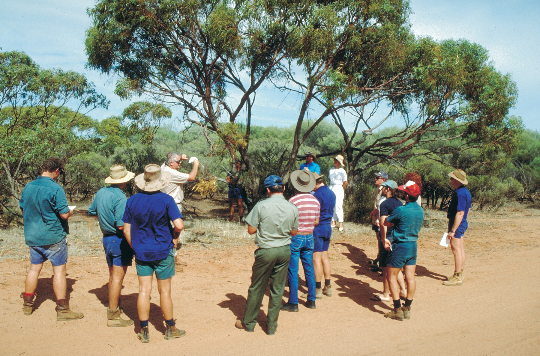 Group of people from the Land Conservation District Committee gathered around a tree, while man holds branch