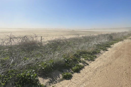 Soil erosion and land degradation in Western Australia