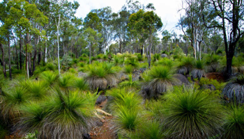 WA land conservation