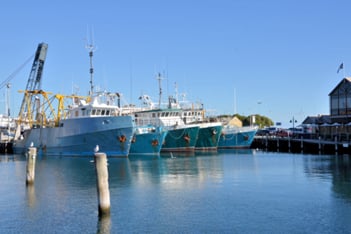 Commercial fishing boats in Fremantle harbour