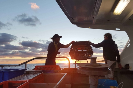 Two people on a commercial lobster fishing boat with sunset in the background