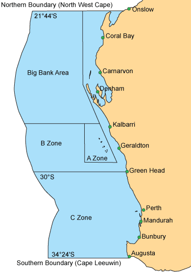 Graphic map of the three zones of the West Coast Rock Lobster Managed Fishery, with Zone A surrounding the Abrolhos Islands, Zone B north of latitude 30oS and Zone C south of latitude 30oS.