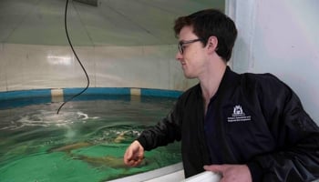 Person feeding fish in hatchery