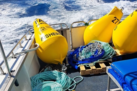 Fish Aggregation Devices on the back of a boat