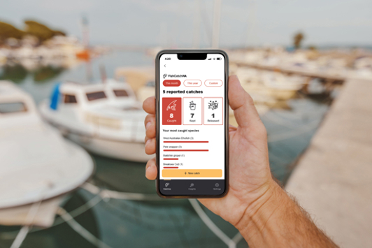 Hand holding mobile device with fishcatchwa app on screen boat yard in background
