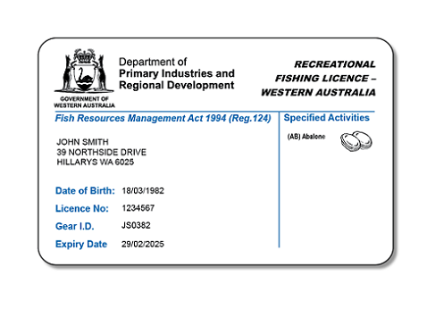 Illustrated graphic of a recreational fishing licence, with State Government and DPIRD icon and text, Individual's name and address, date of birth, licence number, gear I.D. and expiry date.