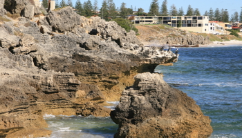 Coastline of Cottesloe fish habitat protection area